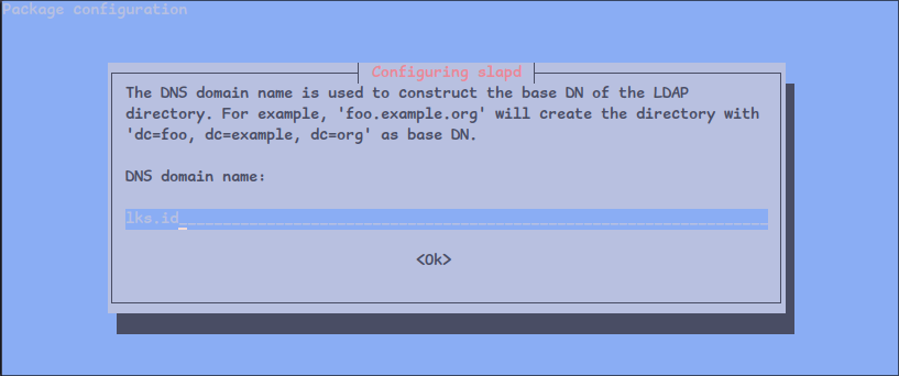 slapd input domain name